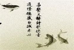 梦见吐出来好多脏东西